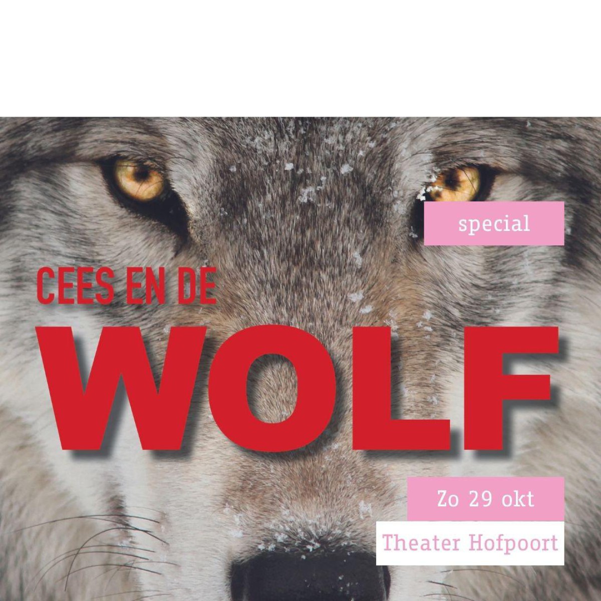 29102023 Cees en de Wolf